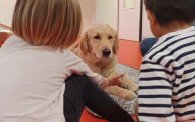 La médiation animale en crèche : un levier d’éveil, de bien-être et d’inclusion